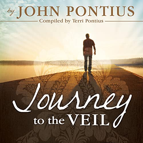 Cover of Journey to the Veil