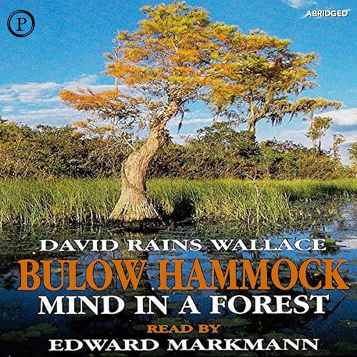 Cover of Bulow Hammock