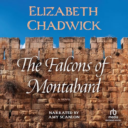 Cover of The Falcons of Montabard