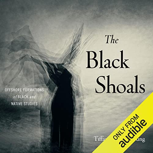 Cover of The Black Shoals