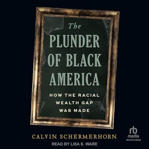 Cover of The Plunder of Black America