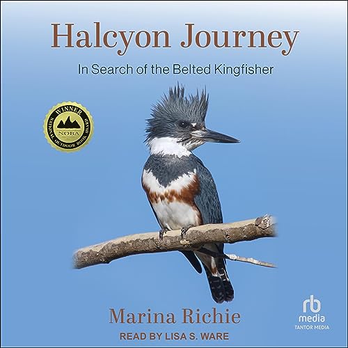 Cover of Halcyon Journey