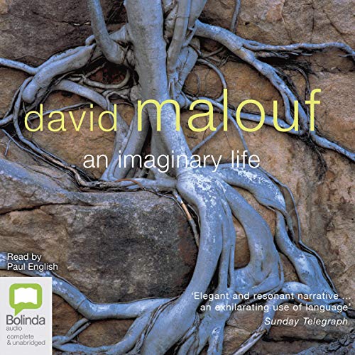 Cover of An Imaginary Life