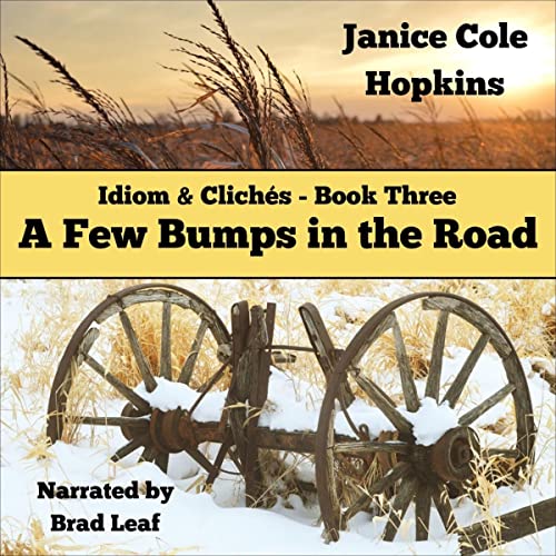 Cover of A Few Bumps in the Road