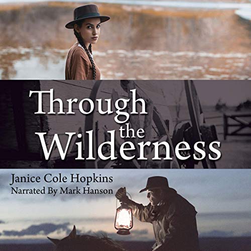 Cover of Through the Wilderness