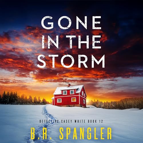 Cover of Gone in the Storm