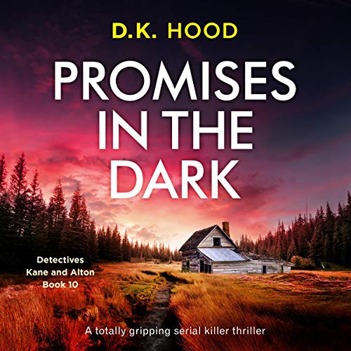 Cover of Promises in the Dark