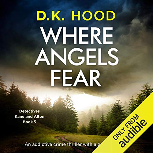Cover of Where Angels Fear