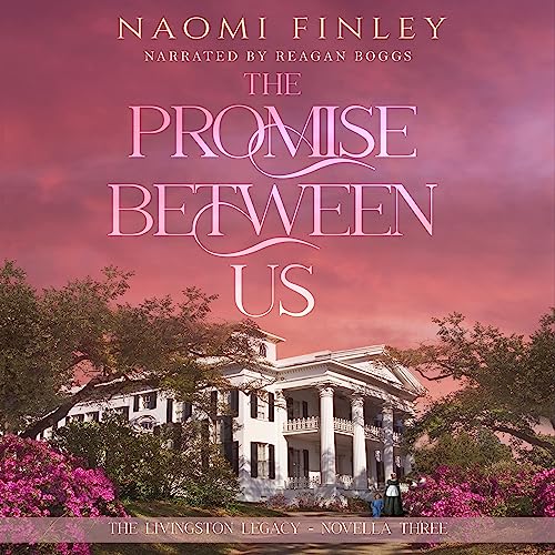 Cover of The Promise Between Us