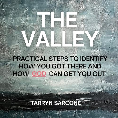 Cover of The Valley