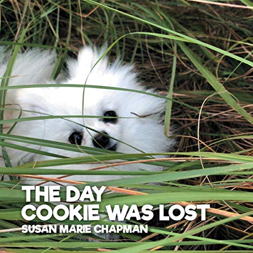 Cover of The Day Cookie Was Lost