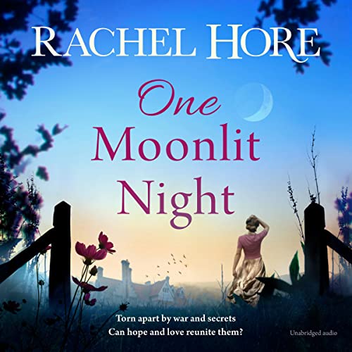 Cover of One Moonlit Night