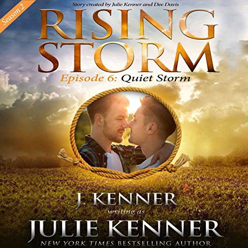Cover of Quiet Storm