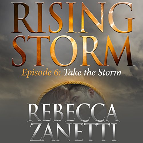 Cover of Take the Storm