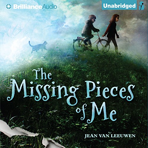 Cover of The Missing Pieces of Me