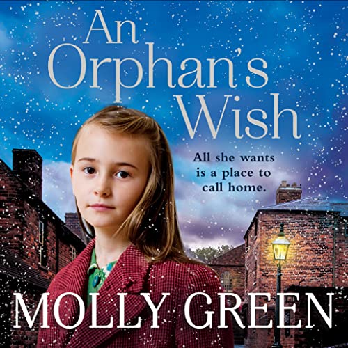 Cover of An Orphan’s Wish