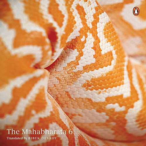 Cover of Mahabharata Vol 6