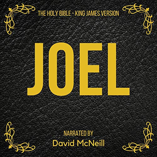 Cover of The Holy Bible - Joel