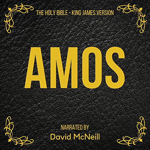 Cover of The Holy Bible - Amos