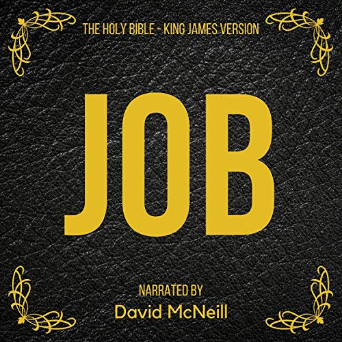 Cover of The Holy Bible - Job
