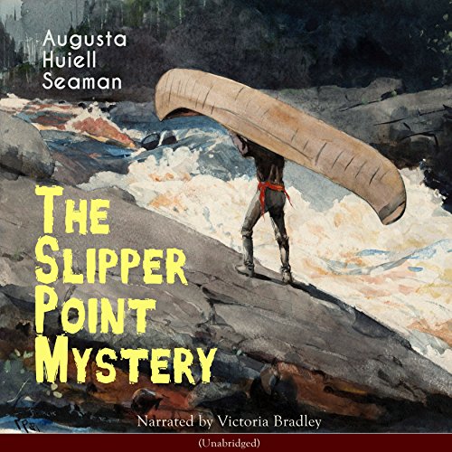 Cover of The Slipper Point Mystery