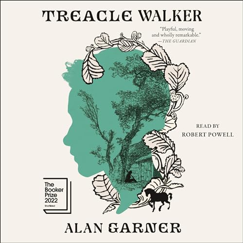 Cover of Treacle Walker