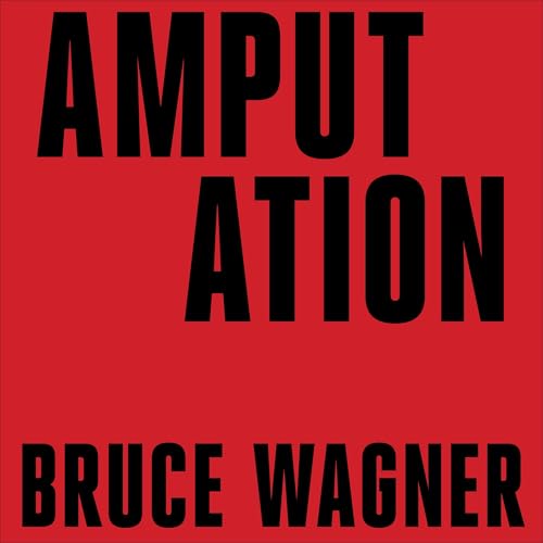 Cover of Amputation