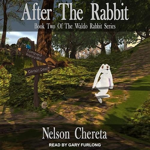 Cover of After the Rabbit