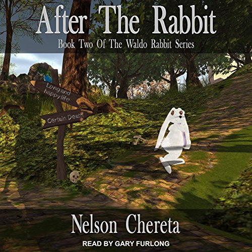 Cover of After the Rabbit