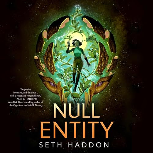 Cover of Null Entity