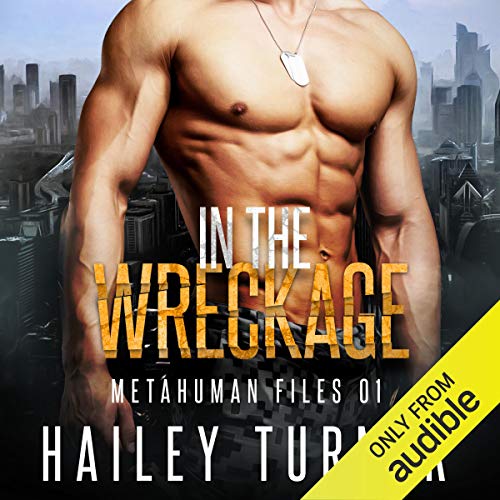 Cover of In the Wreckage