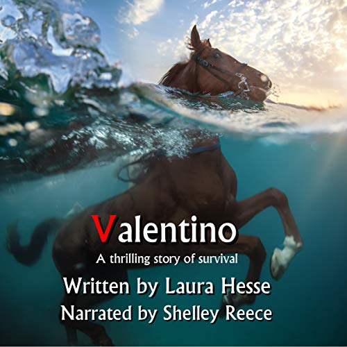Cover of Valentino
