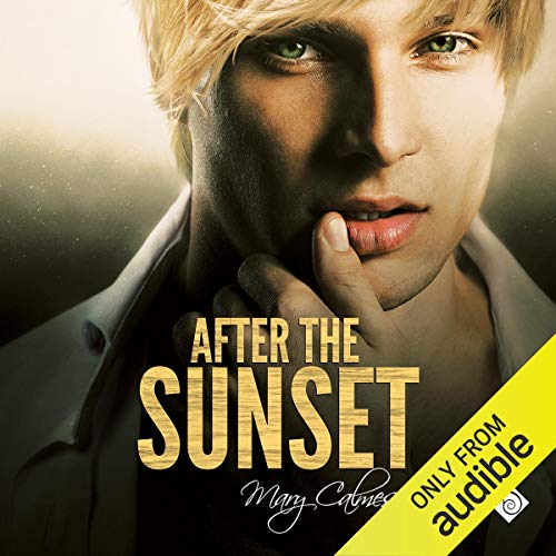 Cover of After the Sunset