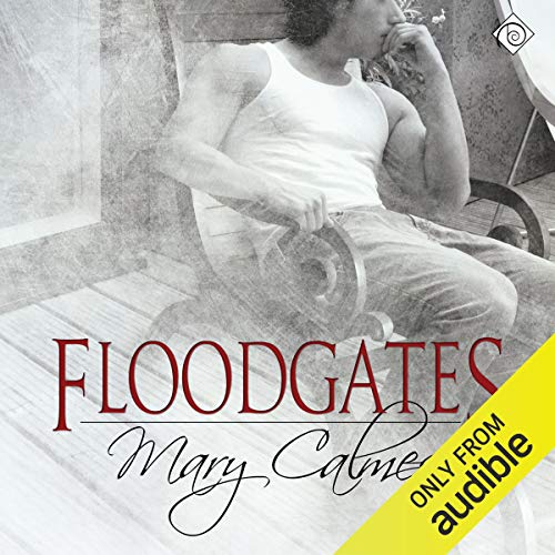 Cover of Floodgates