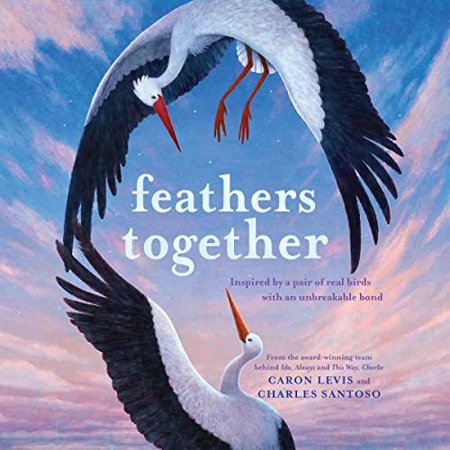 Cover of Feathers Together