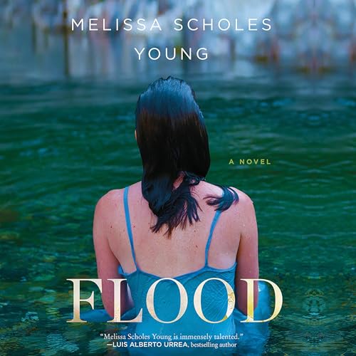 Cover of Flood