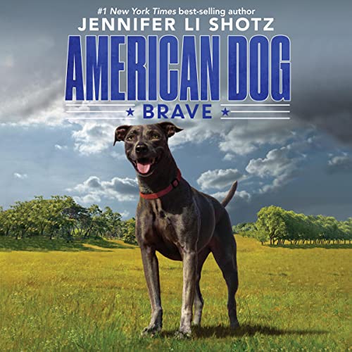 Cover of Brave
