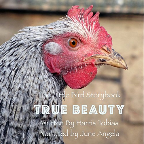 Cover of True Beauty