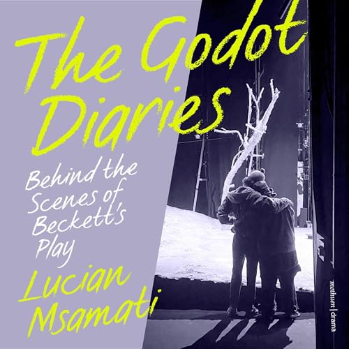 Cover of The Godot Diaries