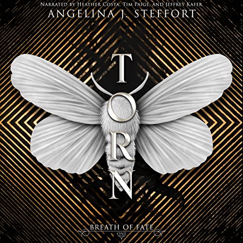 Cover of Torn