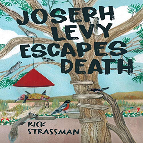 Cover of Joseph Levy Escapes Death