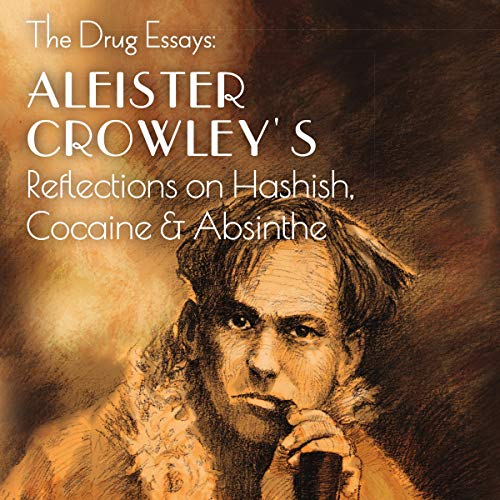 Cover of The Drug Essays