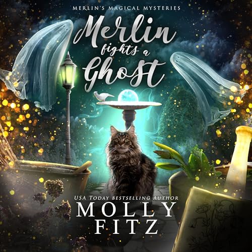 Cover of Merlin Fights a Ghost