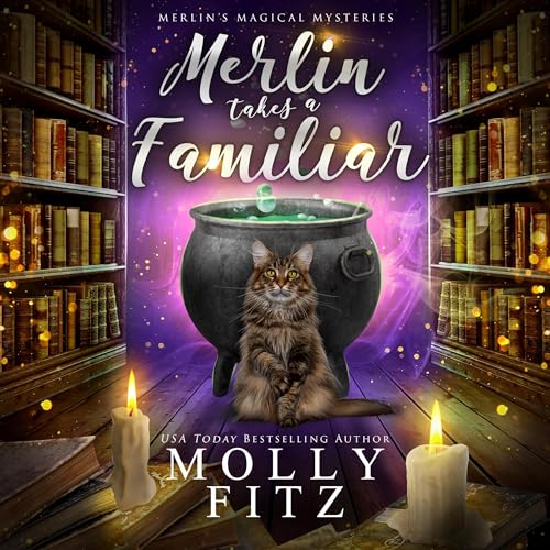 Cover of Merlin Takes a Familiar