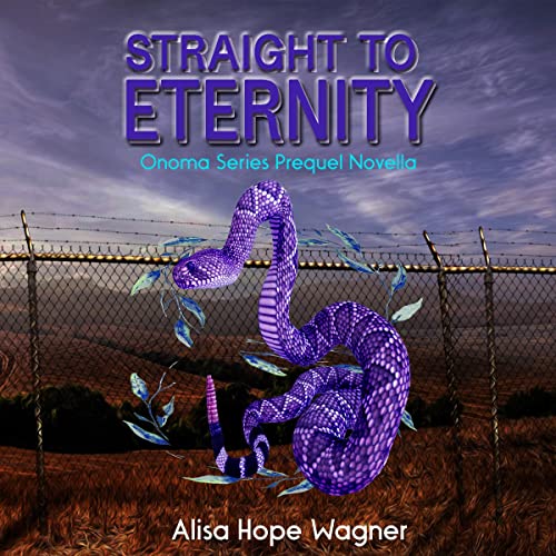 Cover of Straight to Eternity