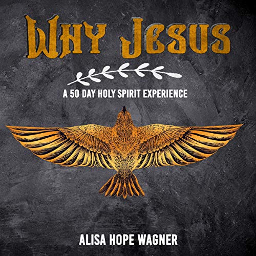 Cover of Why Jesus: A 50 Day Holy Spirit Experience