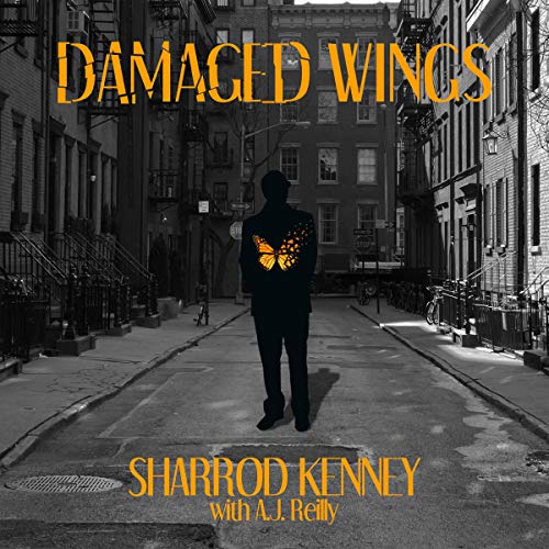 Cover of Damaged Wings