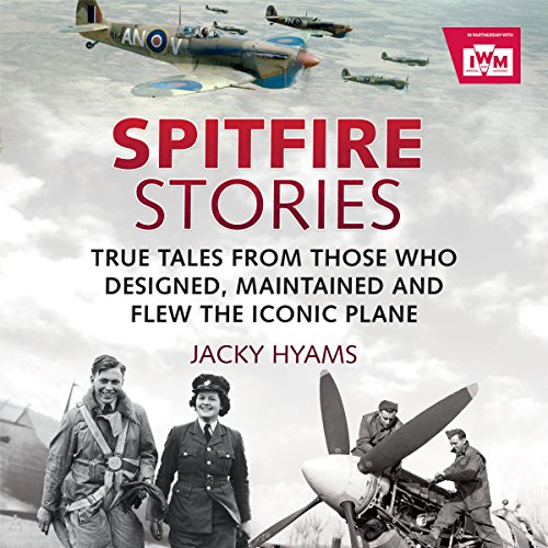 Cover of Spitfire Stories