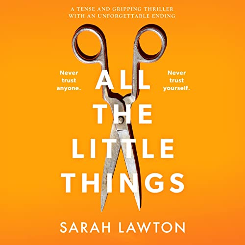Cover of All the Little Things
