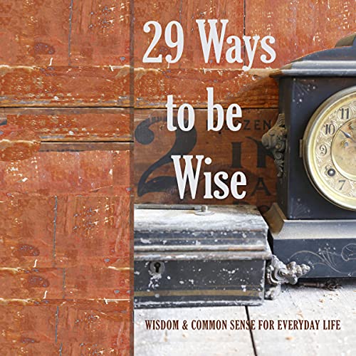 Cover of 29 Ways to Be Wise